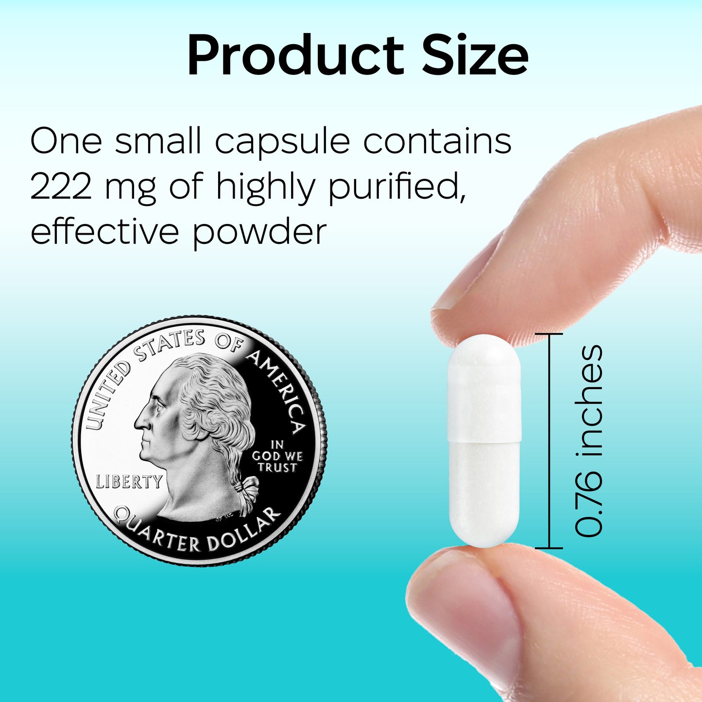FenPure Capsules – 222 mg, 90 pcs